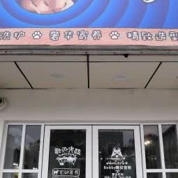 bobby宠物:上海城区闵行区七宝附近