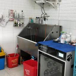 米嘟宠物店:上海城区闵行区七宝附近