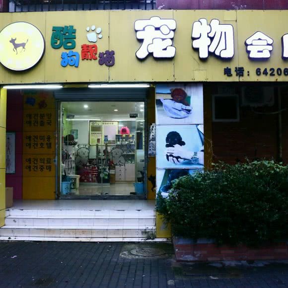 酷狗靓猫宠物会所(航北路店):上海城区闵行区七宝附近