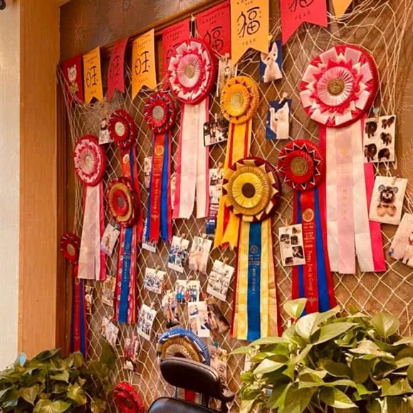 我の狗窝:上海城区闵行区七宝附近