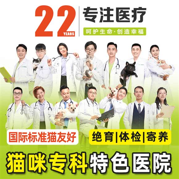 艾吉宠物医院(猫专科医院):上海城区闵行区七宝附近