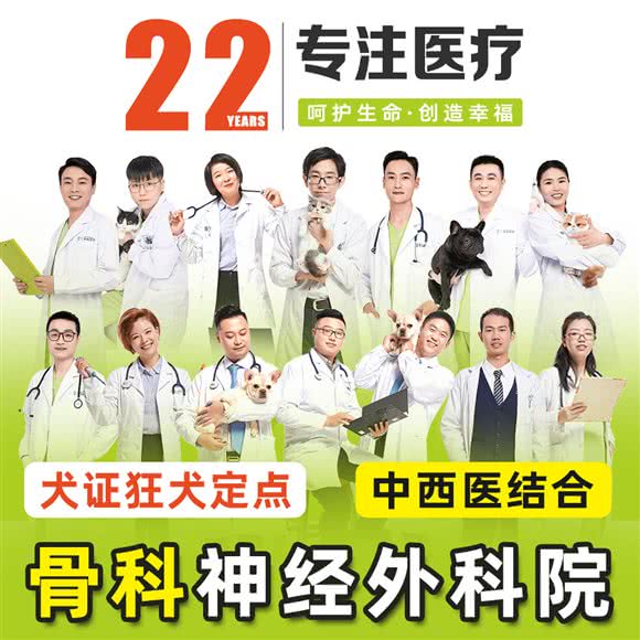 艾吉宠物医院:上海城区闵行区七宝附近