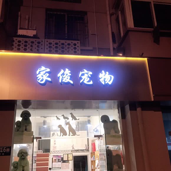 家俊宠物店:上海城区闵行区老闵行/交大师大附近
