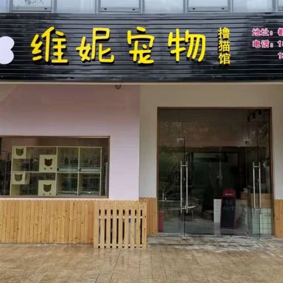 维妮宠物(都市路店):上海城区闵行区老闵行/交大师大附近
