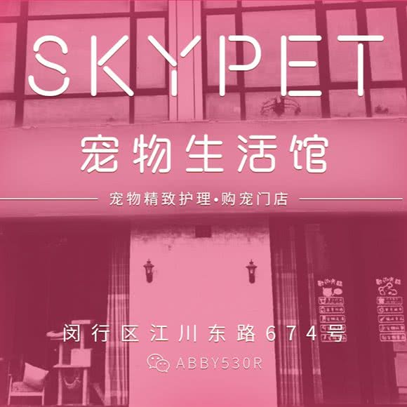 SKY PET宠物生活馆(闵行店):上海城区闵行区老闵行/交大师大附近
