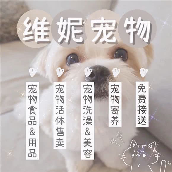 维妮宠物(交大店):上海城区闵行区老闵行/交大师大附近