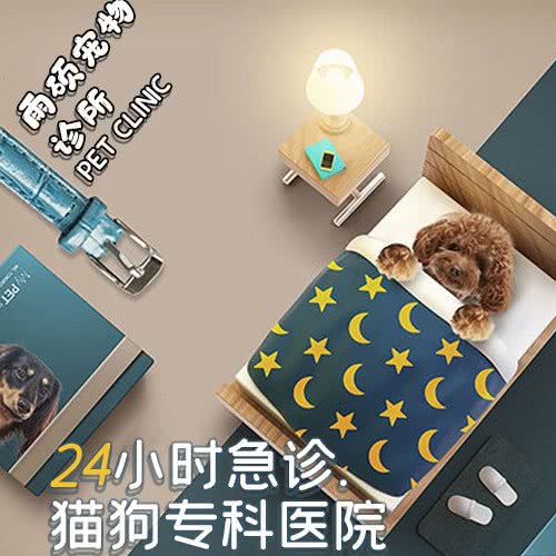 雨硕宠物诊所(东川路店):上海城区闵行区老闵行/交大师大附近