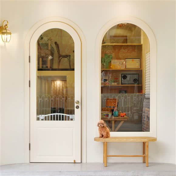 BongPet蹦哒宠物:上海城区闵行区莲花路/南方商城附近