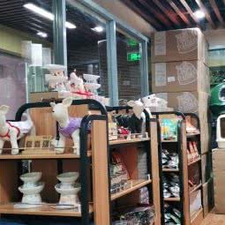 猫果儿:北京城区海淀区紫竹桥附近