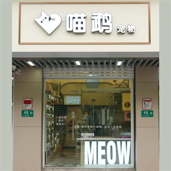 喵鹉狗狗:上海城区闵行区莲花路/南方商城附近