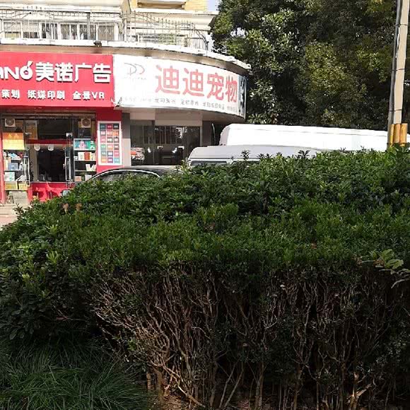 迪迪宠物:上海城区闵行区莲花路/南方商城附近