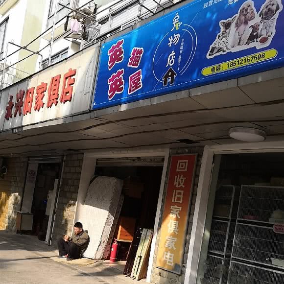 英英猫屋:上海城区闵行区莲花路/南方商城附近