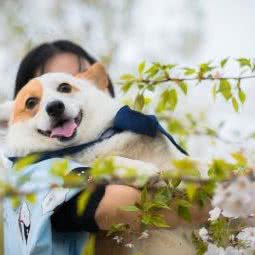 萌迪宠物摄影馆:上海城区闵行区莲花路/南方商城附近