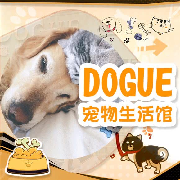 DOGUE宠物生活馆(莲花南路店):上海城区闵行区莲花路/南方商城附近