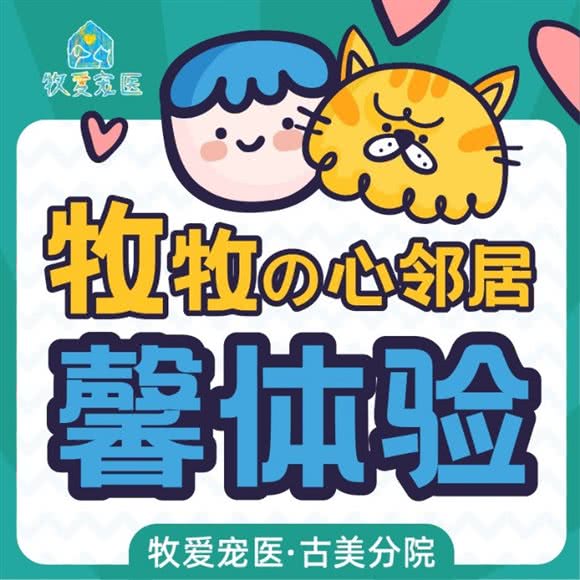 牧爱宠医·内视镜微创中心(古美分院):上海城区闵行区莲花路/南方商城附近