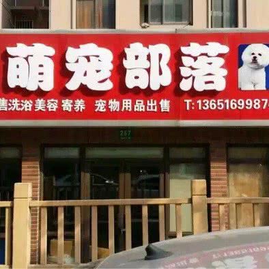 萌宠部落(闵驰二路店):上海城区闵行区浦江镇附近