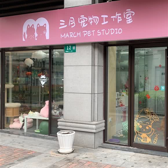 三月宠物工作室:上海城区闵行区浦江镇附近