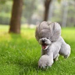 酷迪(庄胜崇光店):北京城区西城区宣武门附近