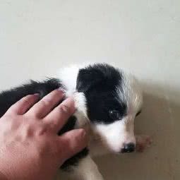 晨光咖啡店:上海城区闵行区浦江镇附近