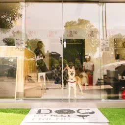 FriendCare宠物乐学园酒店:上海城区闵行区浦江镇附近