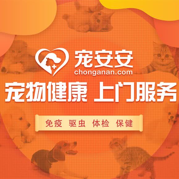 宠安安-宠物医师到家服务:北京城区海淀区魏公村附近