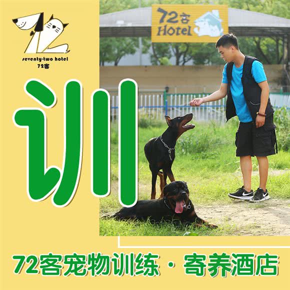 72客宠物训练学校·寄养酒店:上海城区闵行区浦江镇附近