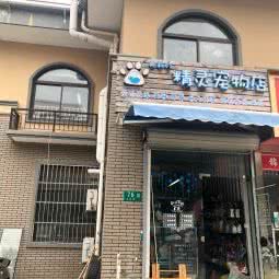 精灵宠物店:上海城区闵行区浦江镇附近