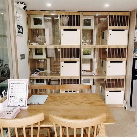 猫樣生活·专业猫型宠物店:上海城区闵行区浦江镇附近