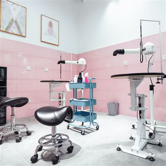 GoGo Inn 宠物生活馆(联航路总店):上海城区闵行区浦江镇附近