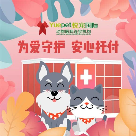 悦宠爱牧家动物医院24钟头急诊:北京城区海淀区双榆树附近