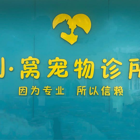 小窝宠物诊疗:上海城区闵行区浦江镇附近