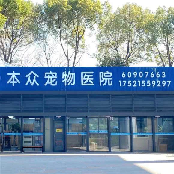 本众宠物医院(浦锦路分院):上海城区闵行区浦江镇附近