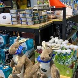 派多格宠物(虹梅路店):上海城区闵行区虹梅路附近