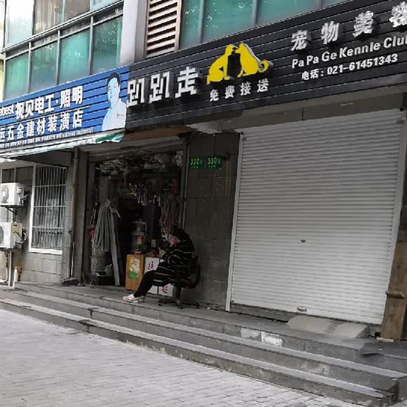 趴趴走宠物美容:上海城区闵行区虹梅路附近