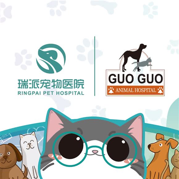 果果宠物医院:上海城区闵行区万源城/东兰路附近