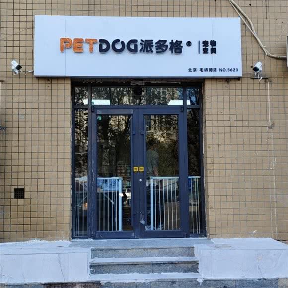 派多格宠物(毛纺路店):北京城区海淀区清河附近