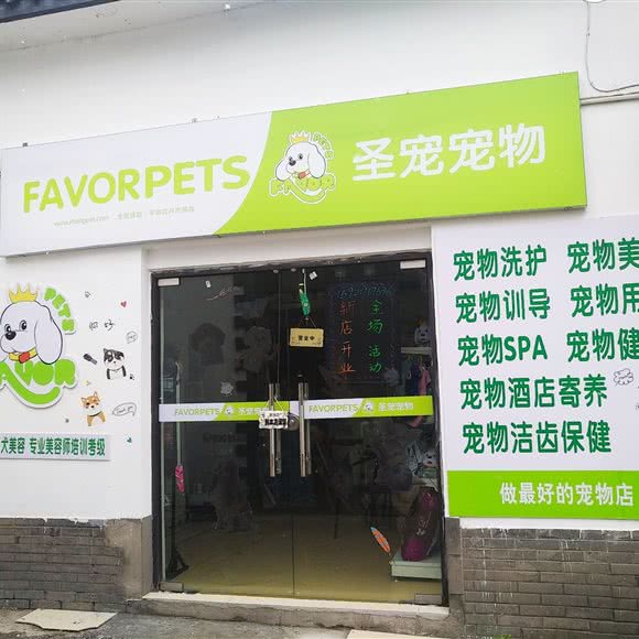 圣宠宠物狗:上海城区闵行区万源城/东兰路附近