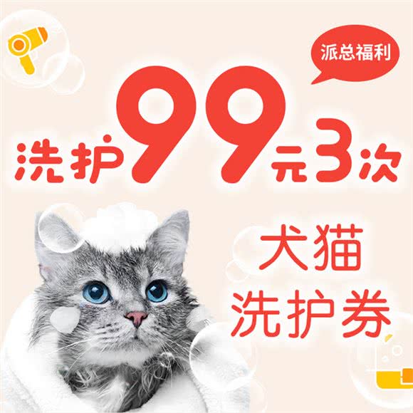 PAZON派总宠物·矮脚曼基康·拿破仑·名猫猫舍:上海城区闵行区万源城/东兰路附近