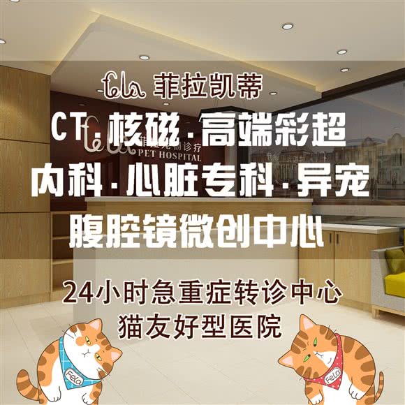 菲拉凯蒂宠物医院·CT·核磁·心脏彩超.24h急重症转诊中心:上海城区闵行区万源城/东兰路附近