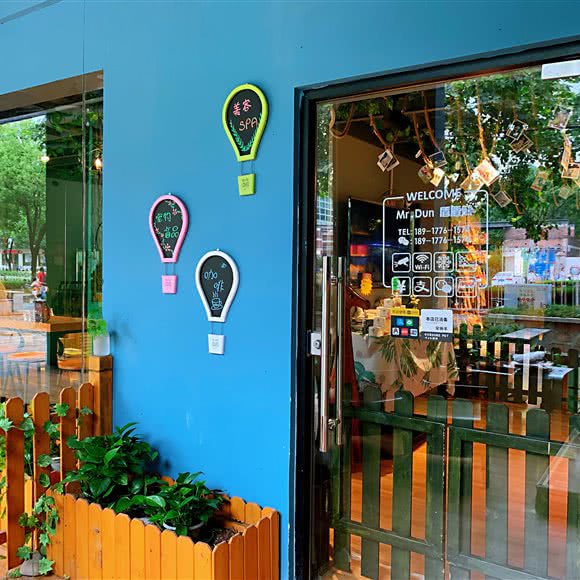 盾盾熊宠物·专业小猫洗护:上海城区闵行区春申地区附近