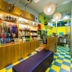 小哈宠物社:上海城区闵行区春申地区附近