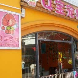 Q宝宠物:上海城区闵行区春申地区附近