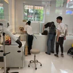 蓝胖胖和朋友们:上海城区闵行区春申地区附近