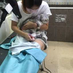 爱它之家:北京城区海淀区清河附近