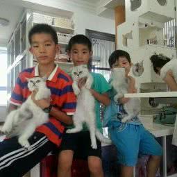 SHE之家名猫馆:上海城区闵行区春申地区附近