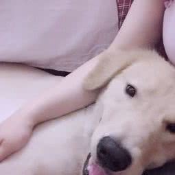 佩比小屋:上海城区闵行区春申地区附近