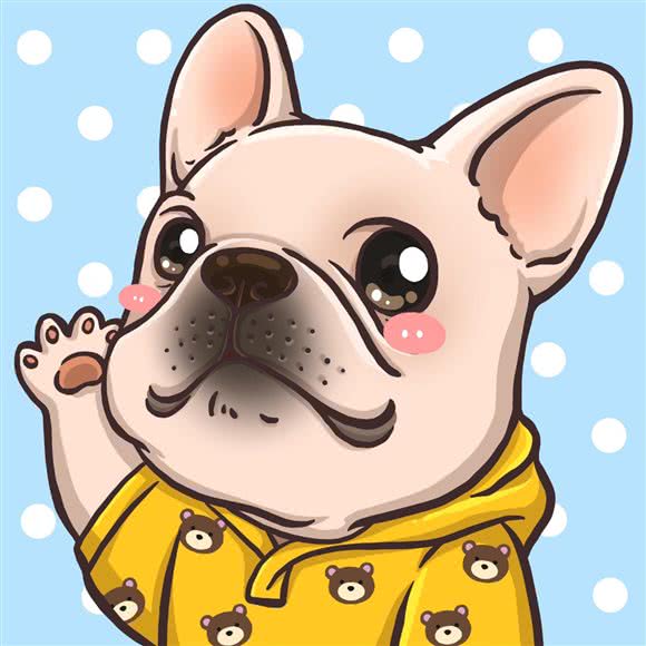 宠物男孩生活馆(橡树湾店):北京城区海淀区清河附近