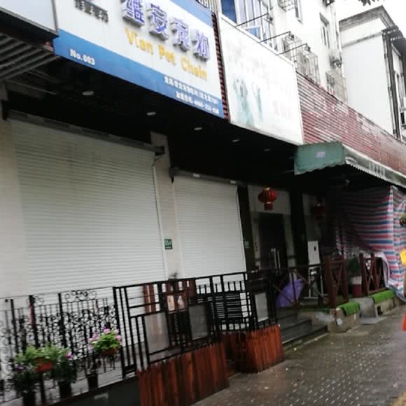 维安宠物:上海城区闵行区虹桥火车站/机场附近