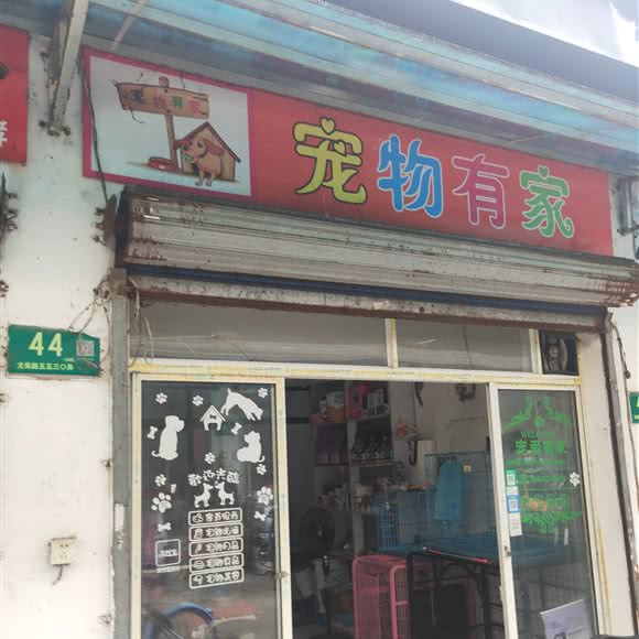宠物有家:上海城区闵行区吴泾镇附近