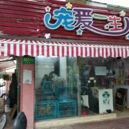 宠爱一生(龙吴路店):上海城区闵行区吴泾镇附近